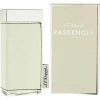 S.T.Dupont Passenger (L) edp 100 ml test